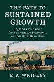 Path to Sustained Growth (eBook, PDF)