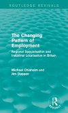 The Changing Pattern of Employment (eBook, ePUB)