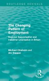The Changing Pattern of Employment (eBook, PDF)