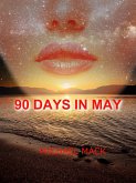 90 Days in May (eBook, ePUB)