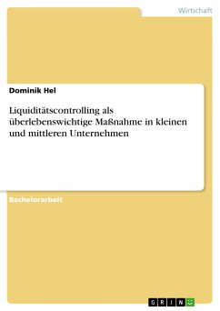 Liquiditätscontrolling als überlebenswichtige Maßnahme in kleinen und mittleren Unternehmen (eBook, ePUB) - Hel, Dominik