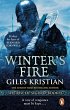 Winter's Fire (eBook, ePUB) - Bild 1