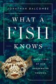 What a Fish Knows (eBook, ePUB)