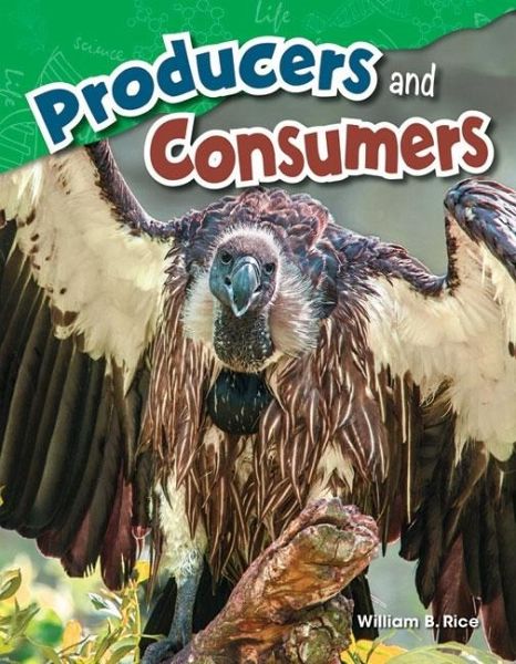 Producers and Consumers (eBook, PDF)