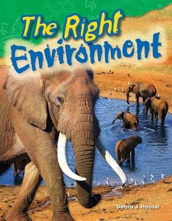 Right Environment (eBook, PDF) - Housel, Debra J.