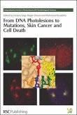 From DNA Photolesions to Mutations, Skin Cancer and Cell Death (eBook, PDF)