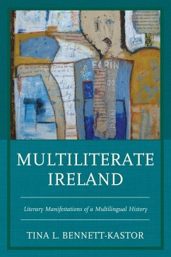 Cover Multiliterate Ireland (eBook, ePUB)