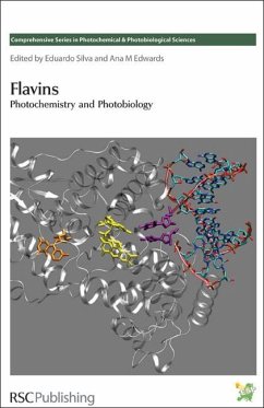 Cover Flavins (eBook, PDF)