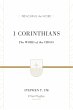 1 Corinthians (eBook, ePUB) - Bild 1