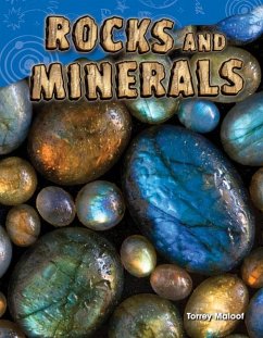 Rocks and Minerals (eBook, PDF) - Maloof, Torrey