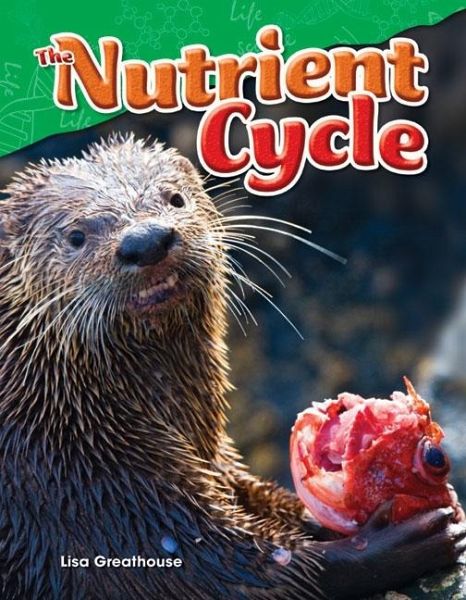 Nutrient Cycle (eBook, PDF)
