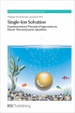 Single-Ion Solvation (eBook, ePUB)