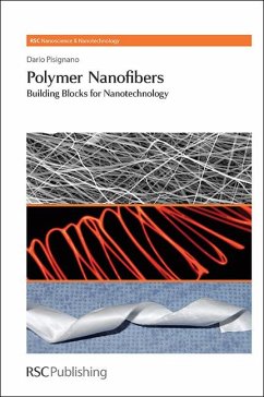 Polymer Nanofibers (eBook, PDF) - Pisignano, Dario