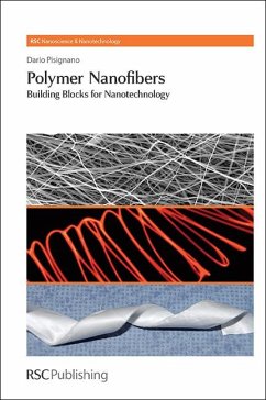 Cover Polymer Nanofibers (eBook, PDF)