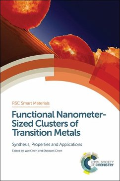 Functional Nanometer-Sized Clusters of Transition Metals (eBook, PDF)
