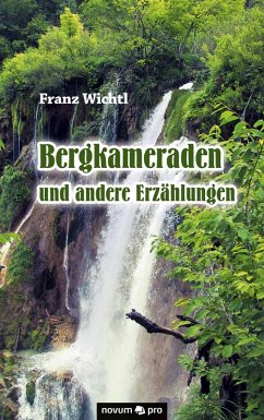 Bergkameraden und andere Erzählungen (eBook, ePUB) - Wichtl, Franz