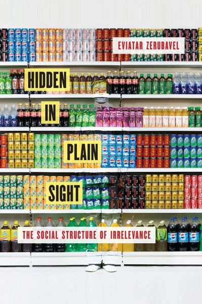 Hidden in Plain Sight (eBook, ePUB) Hidden in Plain Sight (eBook, ePUB)