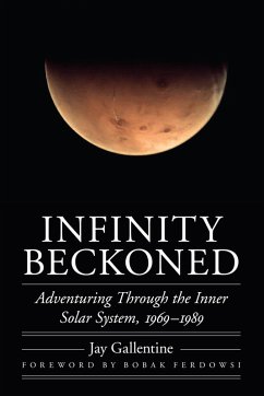 Infinity Beckoned (eBook, ePUB) - Gallentine, Jay