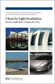 Clean by Light Irradiation (eBook, PDF)