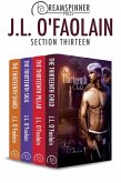 Section Thirteen (eBook, ePUB) Section Thirteen (eBook, ePUB)