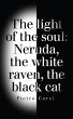 Light of the Soul (eBook, ePUB) - Bild 1
