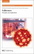 Fullerenes (eBook, PDF) - Bild 1