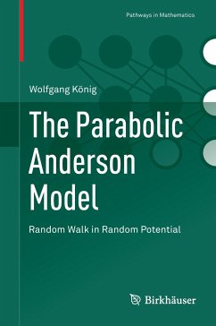 The Parabolic Anderson Model - König, Wolfgang