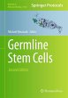 Germline Stem Cells - Bild 1