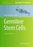 Germline Stem Cells