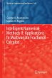 Intelligent Numerical Methods II:... - Bild 1