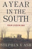 A Year in the South (eBook, ePUB)