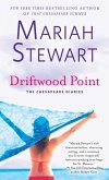 Driftwood Point (eBook, ePUB)