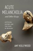 Acute Melancholia and Other Essays (eBook, ePUB)
