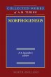 Morphogenesis (eBook, PDF) - Bild 1
