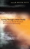 Gazing Through a Prism Darkly (eBook, ePUB)