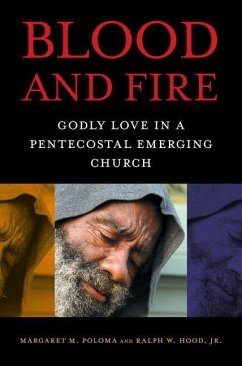 Cover Blood and Fire (eBook, PDF)