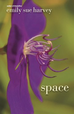 Cover Space (eBook, ePUB)
