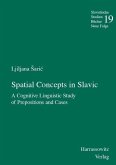 Spatial Concepts in Slavic (eBook, PDF)