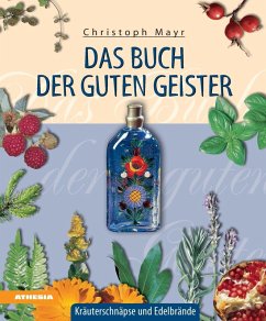 Cover Das Buch der guten Geister (eBook, ePUB)