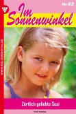 Im Sonnenwinkel 62 – Familienroman (eBook, ePUB)