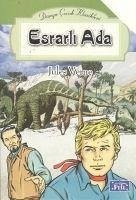 Esrarli Ada - Verne, Jules