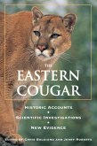 Eastern Cougar (eBook, ePUB)