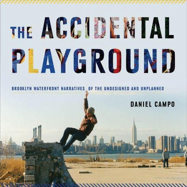 Accidental Playground (eBook, PDF) Accidental Playground (eBook, PDF)