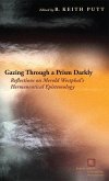 Gazing Through a Prism Darkly (eBook, PDF)