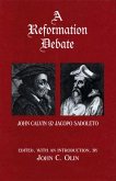 Reformation Debate (eBook, PDF) Reformation Debate (eBook, PDF)