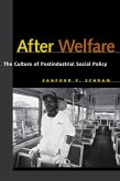 After Welfare (eBook, ePUB)