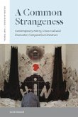 Common Strangeness (eBook, PDF)