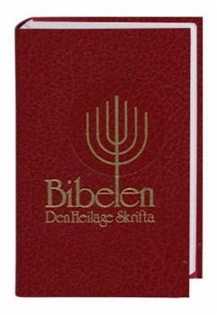 Cover Bibel Norwegisch - Bibelen Nynorsk