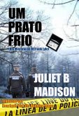 Um Prato Frio - Um Mistério de DI Frank Lyle (eBook, ePUB)