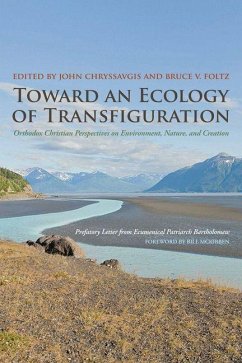 Toward an Ecology of Transfiguration (eBook, PDF)